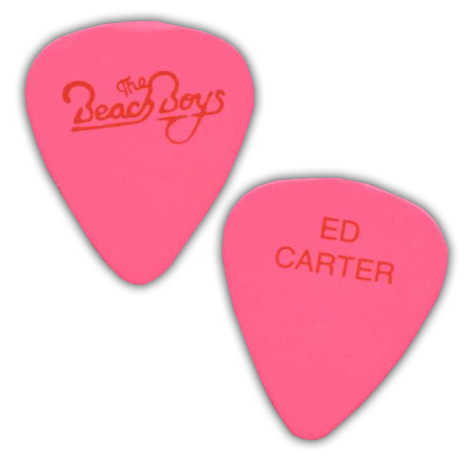 Beach Boys - Ed Carter Concert Tour Guitar Pick