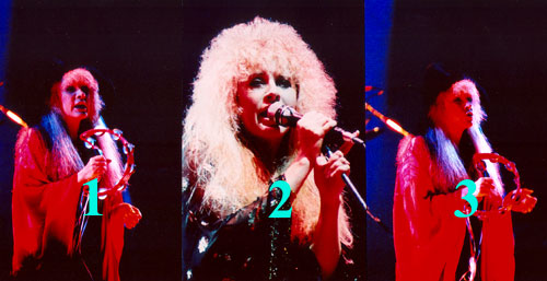 Fleetwood Mac 1987 Tango In The Night Tour