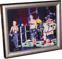 Red Hot Chili Peppers 1991 Blood Sugar Sex Magik Tour - 8x10 Photos