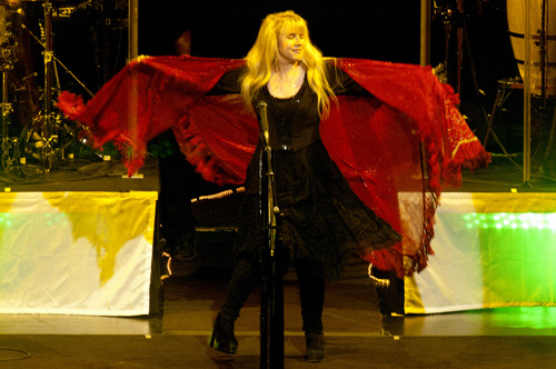 Stevie Nicks 2011 Heart & Soul Tour