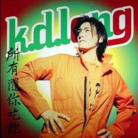K.D. Lang promo Album Flat